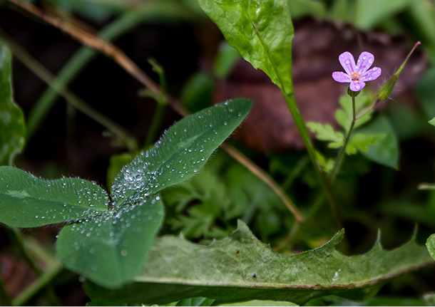 Acknowledging Transitions as a Source of Tension